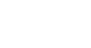 Flipside Logo